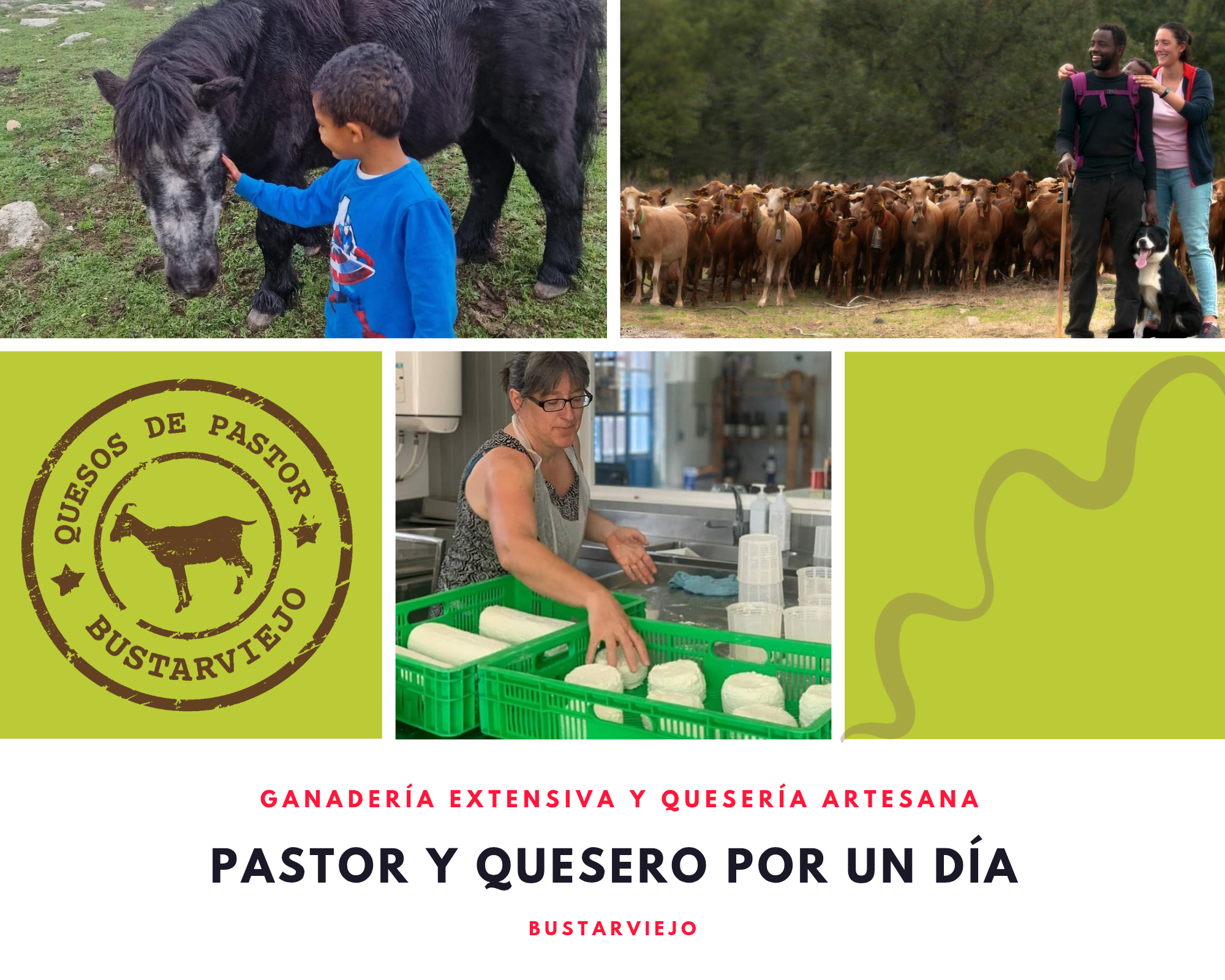 Reserva visitas